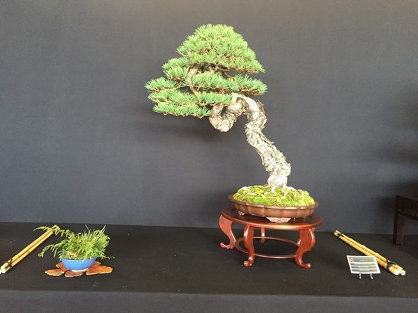 IMG_3513 - Kopie.JPG