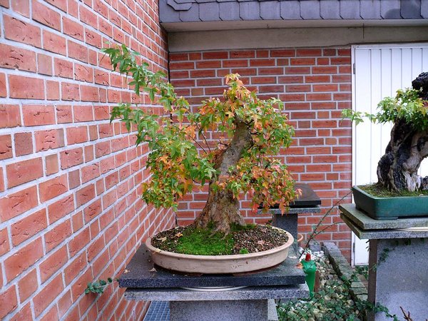 P1050488-1 - Kopie.jpg