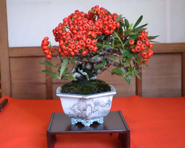 DSC01747.JPG