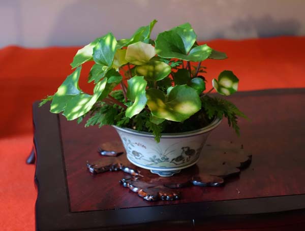 DSC01696.JPG