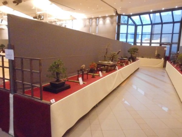DSCI0097.jpg