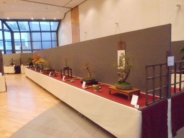 DSCI0099.jpg