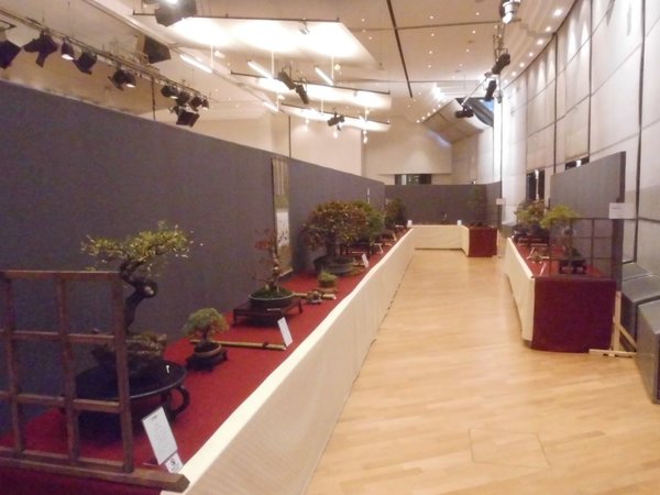 DSCI0104.jpg