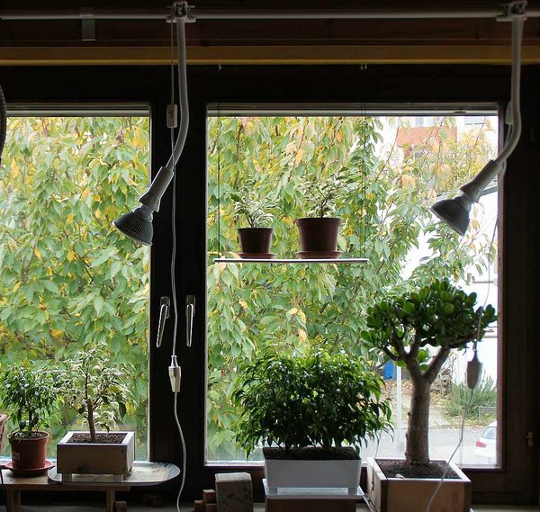 Indoors 1.jpg