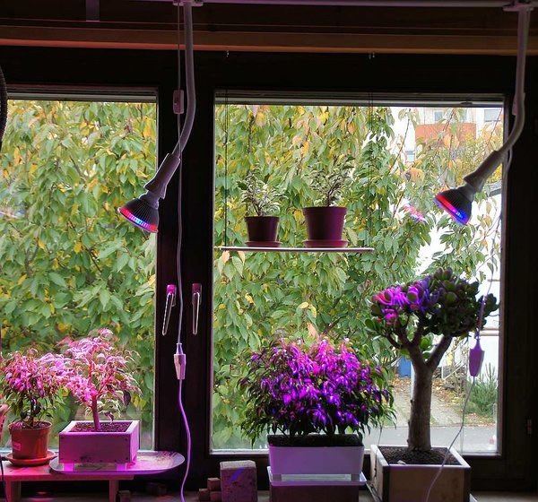Indoors 2.jpg