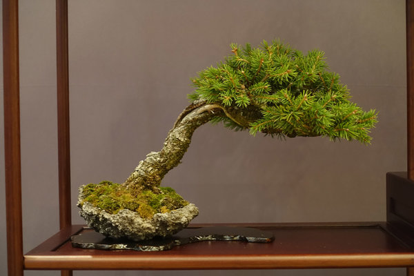 Display01-05s.jpg