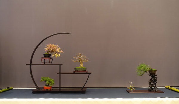 Display von Lotte - Lil