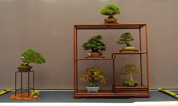 Display von Holger - Odoridori