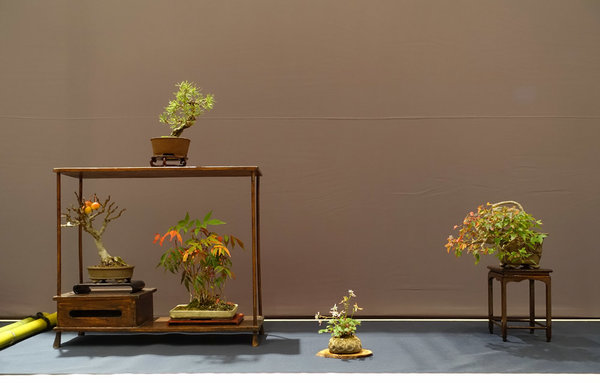 Display06s.jpg