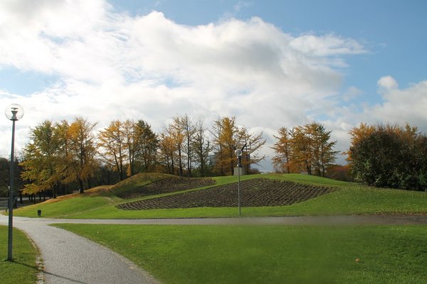 Ginkgo Olympisches DorfIMG_9686.jpg