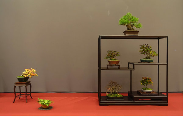 Display von Hannelore B