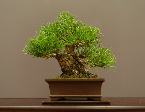 Display18-02s.jpg
