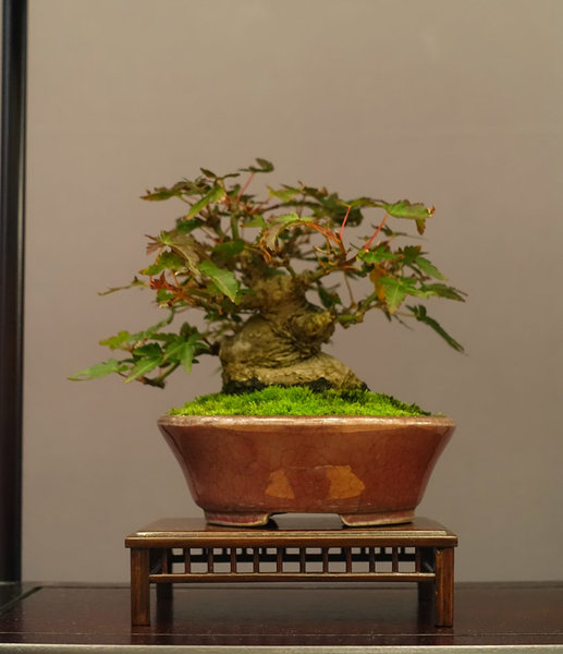 Display18-03s.jpg