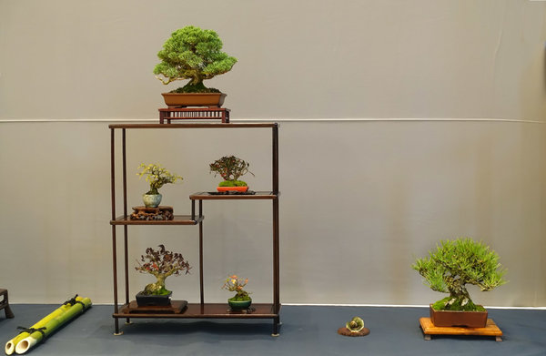 Display von Martin Sturm