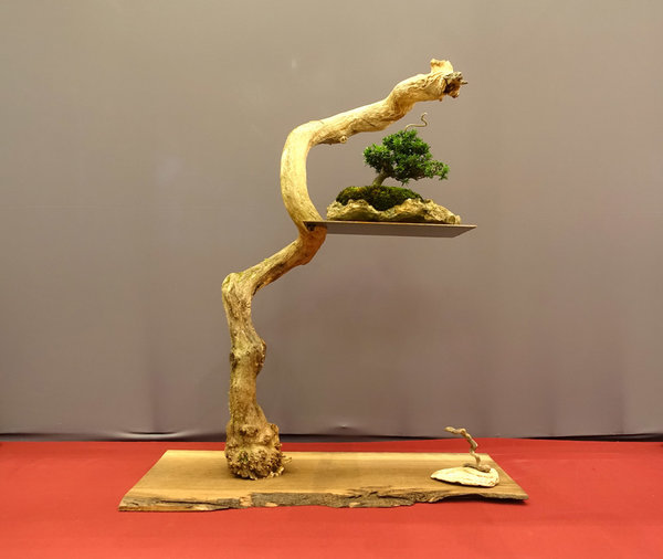 außergewöhnliches Display mit Eibe<br />von NTW-Teilnehmer Wolfgang Weber