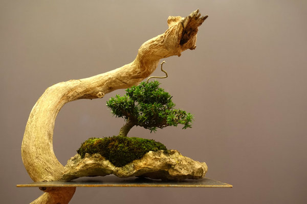 Display07-02s.jpg