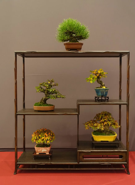 Display von Ursula gokuma
