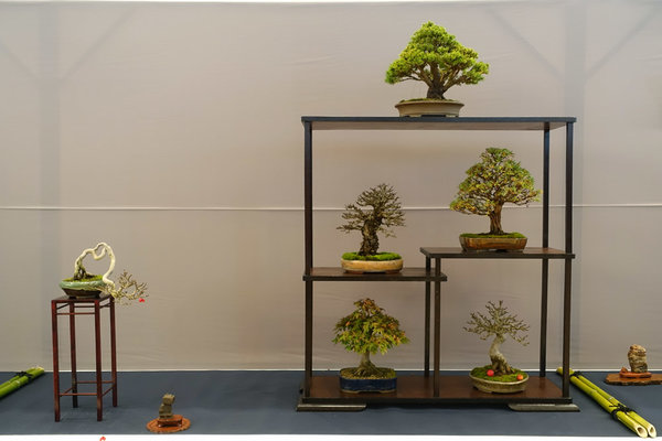 Display12-01s.jpg