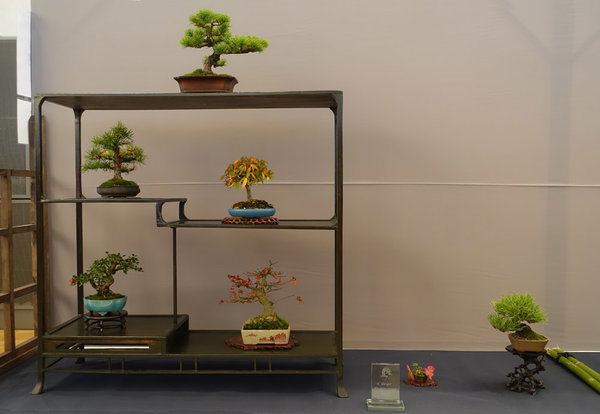 Display21-01s.jpg