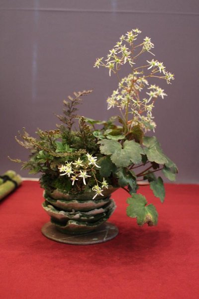 IMG_7168.JPG
