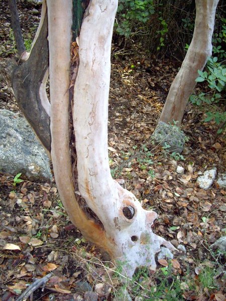 was-ist-das-01.jpg