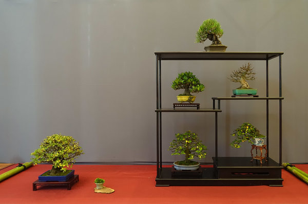 Display von Martin_S