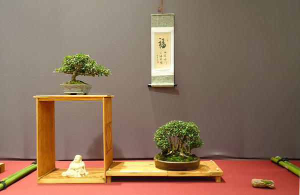Display16-01s.jpg
