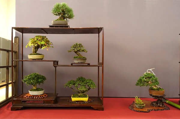 Display von Udo Wollenhaupt