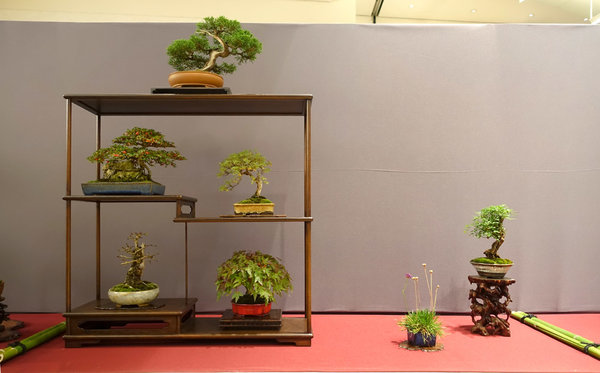 Display von Christian Steinmetz
