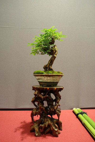 Display15-02s.jpg