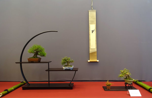 Display25-01s.jpg