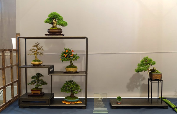 Display20-01s.jpg