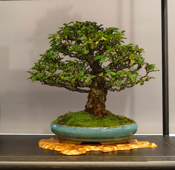 Display20-04s.jpg
