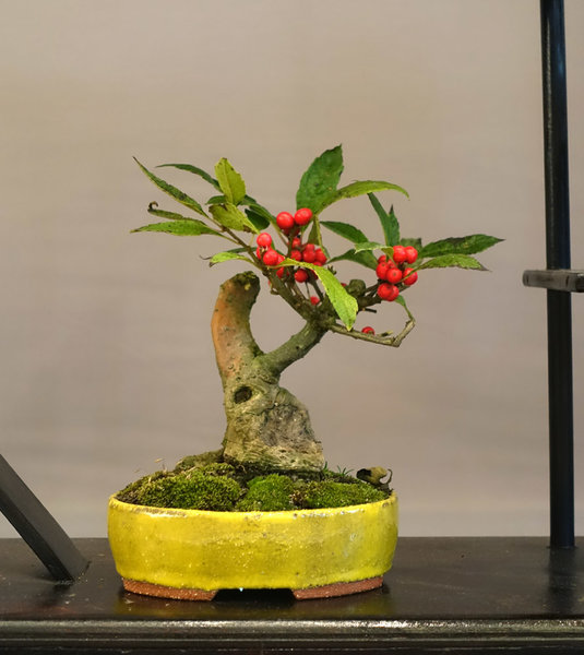 Display23-04s.jpg