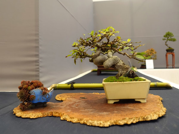 Display23-05s.jpg