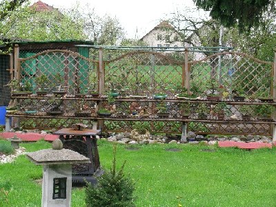 Bonsaigarten 1.jpg