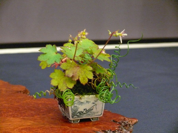 P1210241k.JPG