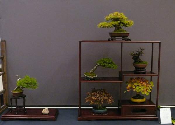P1210242k.JPG