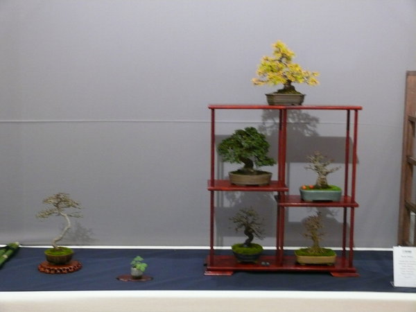 P1210243k.JPG