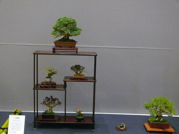 P1210245k.JPG