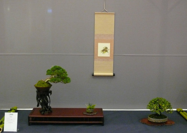 P1210246k.JPG