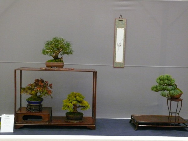 P1210247k.JPG