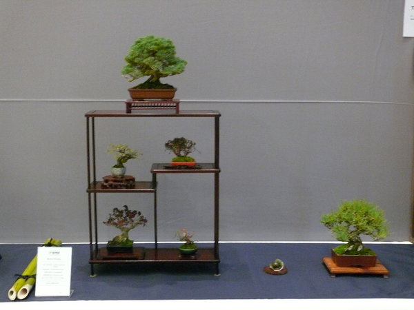 P1210248k.JPG