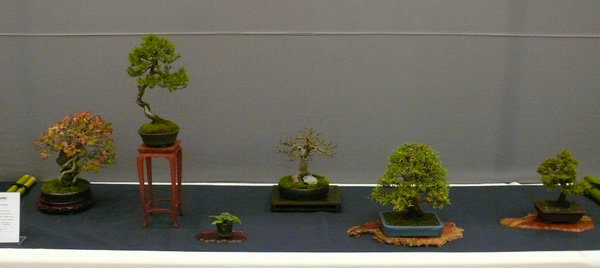 P1210249k.JPG