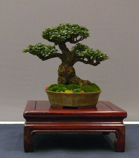 P1210250k.JPG