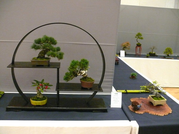 P1210252k.JPG