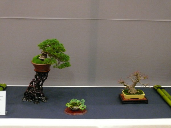 P1210253k.JPG