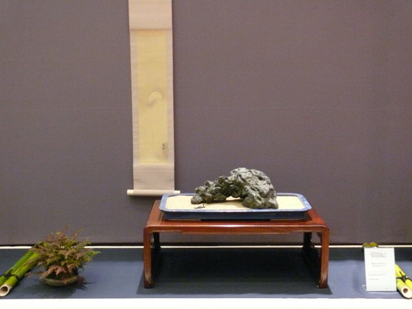 P1210254k.JPG