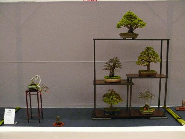 P1210257k.JPG