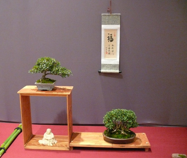 P1210263k.JPG